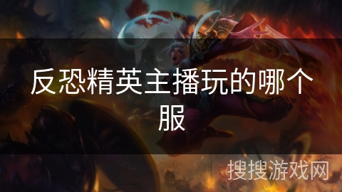 反恐精英主播玩的哪个服