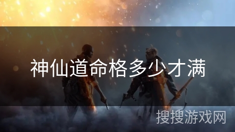 神仙道命格多少才满