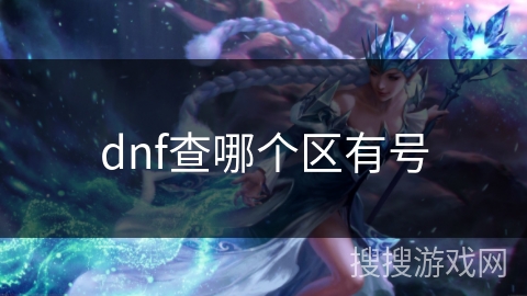 dnf查哪个区有号
