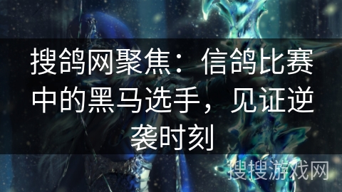 搜鸽网聚焦：信鸽比赛中的黑马选手，见证逆袭时刻