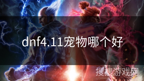 dnf4.11宠物哪个好 dnf4.11宠物哪个好