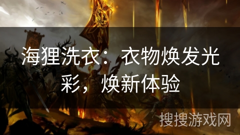海狸洗衣：衣物焕发光彩，焕新体验