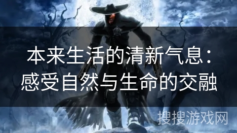 本来生活的清新气息：感受自然与生命的交融