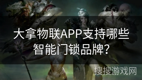 大拿物联APP支持哪些智能门锁品牌？