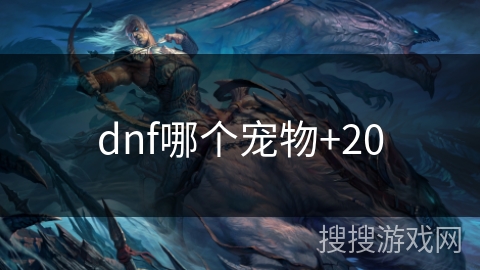 dnf哪个宠物+20