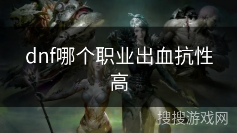 dnf哪个职业出血抗性高