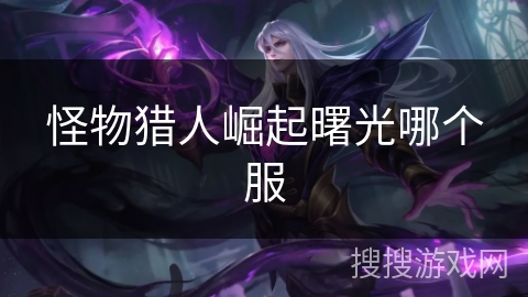 怪物猎人崛起曙光哪个服 怪物猎人崛起曙光哪个服