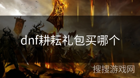dnf耕耘礼包买哪个 dnf耕耘礼包买哪个