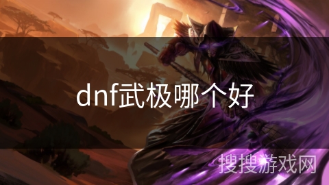 dnf武极哪个好