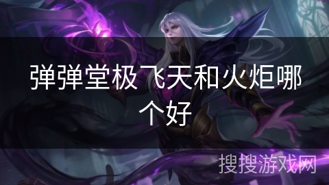 弹弹堂极飞天和火炬哪个好