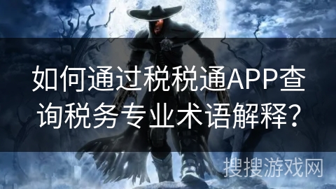 如何通过税税通APP查询税务专业术语解释？