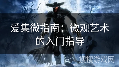 爱集微指南：微观艺术的入门指导
