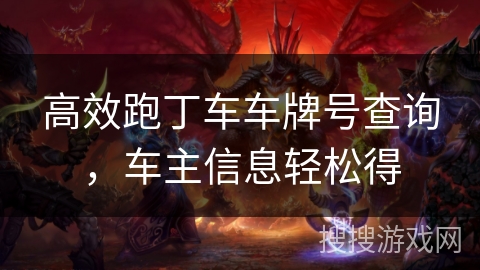 高效跑丁车车牌号查询，车主信息轻松得