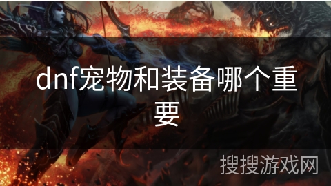 dnf宠物和装备哪个重要
