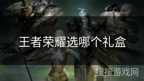 王者荣耀选哪个礼盒