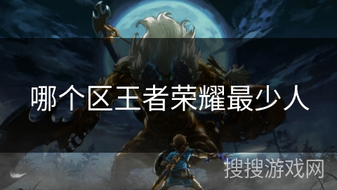 哪个区王者荣耀最少人