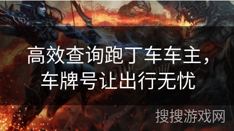 高效查询跑丁车车主，车牌号让出行无忧