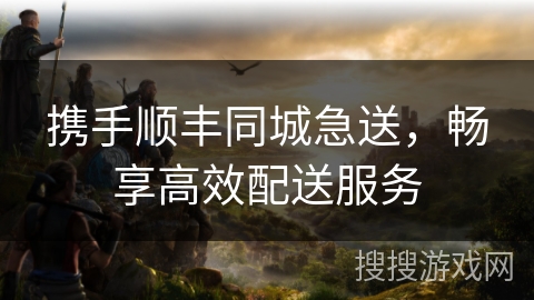 携手顺丰同城急送，畅享高效配送服务