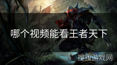 哪个视频能看王者天下