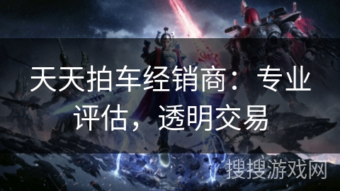 天天拍车经销商：专业评估，透明交易