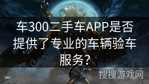 车300二手车APP是否提供了专业的车辆验车服务？