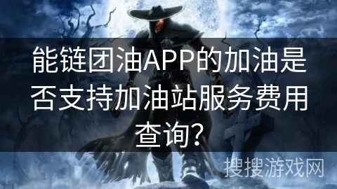 能链团油APP的加油是否支持加油站服务费用查询？