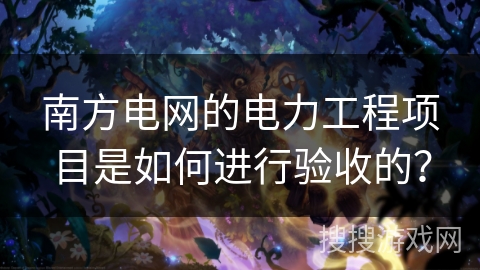 南方电网的电力工程项目是如何进行验收的？