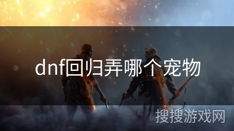 dnf回归弄哪个宠物