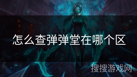 怎么查弹弹堂在哪个区