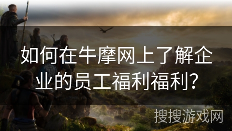 如何在牛摩网上了解企业的员工福利福利？