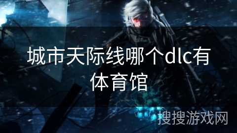 城市天际线哪个dlc有体育馆 城市天际线哪个dlc有体育馆