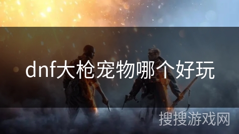 dnf大枪宠物哪个好玩 dnf大枪宠物哪个好玩
