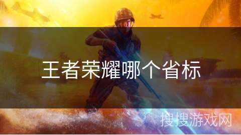 王者荣耀哪个省标 王者荣耀哪个省标