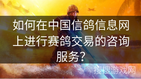 如何在中国信鸽信息网上进行赛鸽交易的咨询服务？