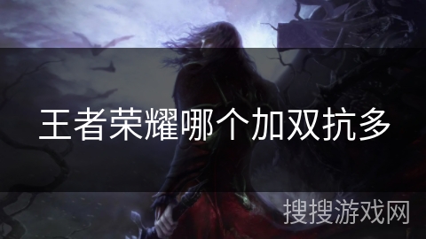 王者荣耀哪个加双抗多 王者荣耀哪个加双抗多