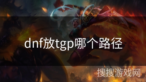 dnf放tgp哪个路径