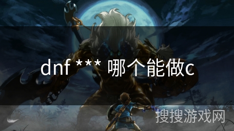 dnf *** 哪个能做c
