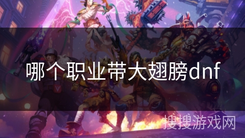 哪个职业带大翅膀dnf 哪个职业带大翅膀dnf