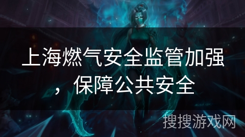 上海燃气安全监管加强,保障公共安全 上海燃气安全监管加强,保障公共安全