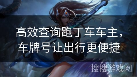 高效查询跑丁车车主，车牌号让出行更便捷