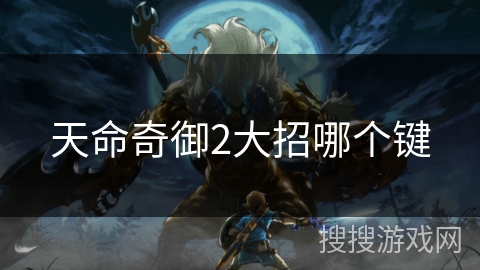 天命奇御2大招哪个键