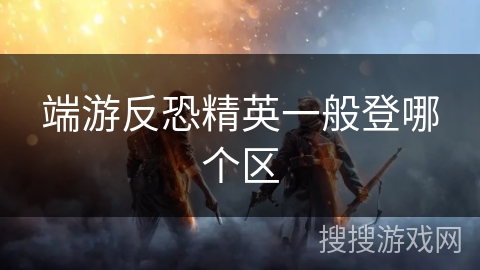 端游反恐精英一般登哪个区