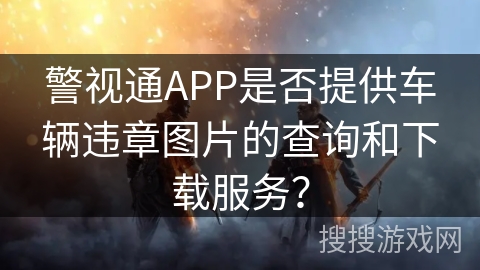 警视通APP是否提供车辆违章图片的查询和下载服务？