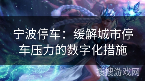 宁波停车：缓解城市停车压力的数字化措施