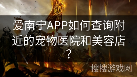 爱南宁APP如何查询附近的宠物医院和美容店？