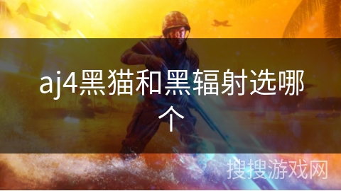 aj4黑猫和黑辐射选哪个