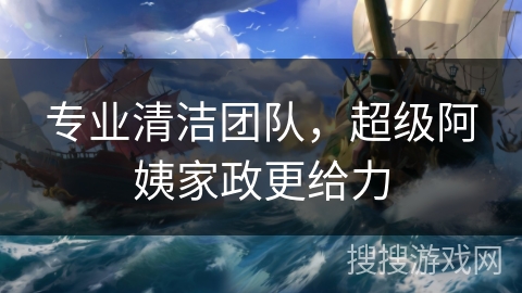 专业清洁团队，超级阿姨家政更给力