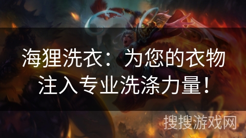 海狸洗衣：为您的衣物注入专业洗涤力量！