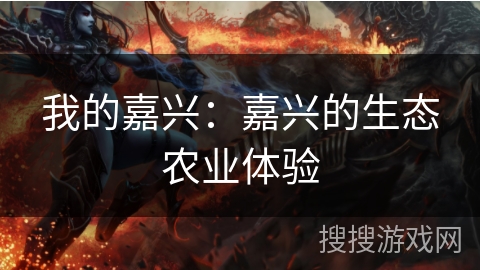 我的嘉兴：嘉兴的生态农业体验