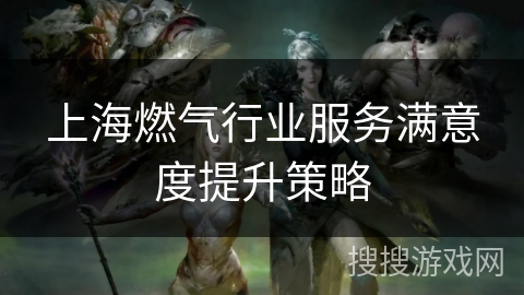 上海燃气行业服务满意度提升策略 上海燃气行业服务满意度提升策略